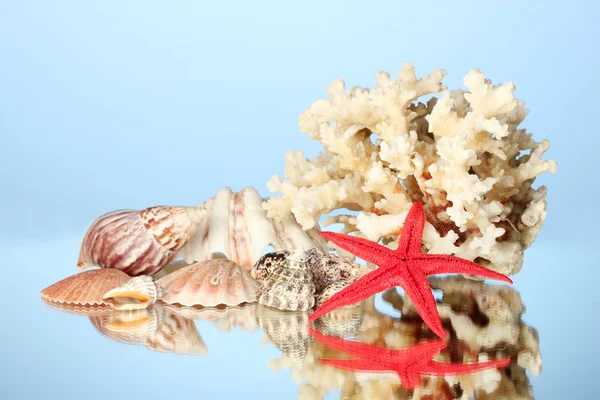 Mořských korálů s pouzdry na modrém pozadí detail — Stock fotografie