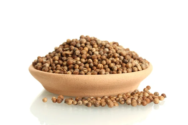 Kupie nasiona kolendry w glinianych miska na białym tle — Zdjęcie stockowe