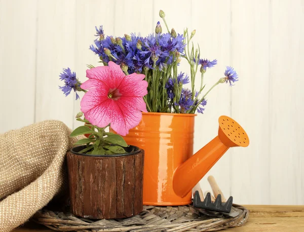Gieter, tools en bloemen op houten achtergrond — Stockfoto