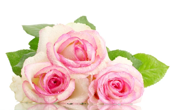 흰색으로 분리 된 아름다운 분홍빛 장미 꽃다발 — 스톡 사진