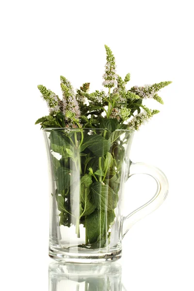 Fresh mint with flowers in cup, isolated on white — Stock Photo, Image
