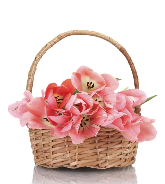 Beautiful pink tulips in basket isolated on white — Stock Photo, Image