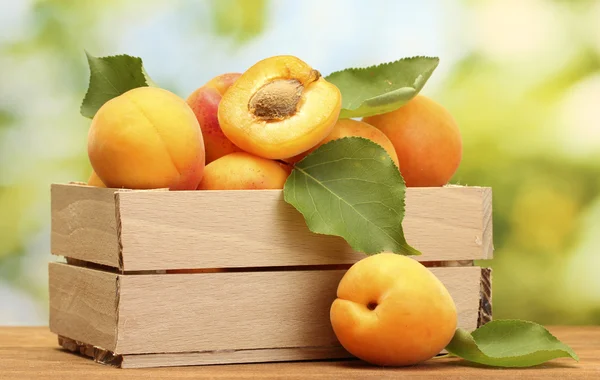 Ripe apricots with leaves in wooden box on wooden table on green background — Stock Photo, Image