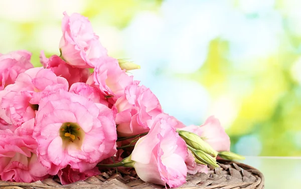 Strauß Eustoma-Blumen, auf grünem Hintergrund — Stockfoto