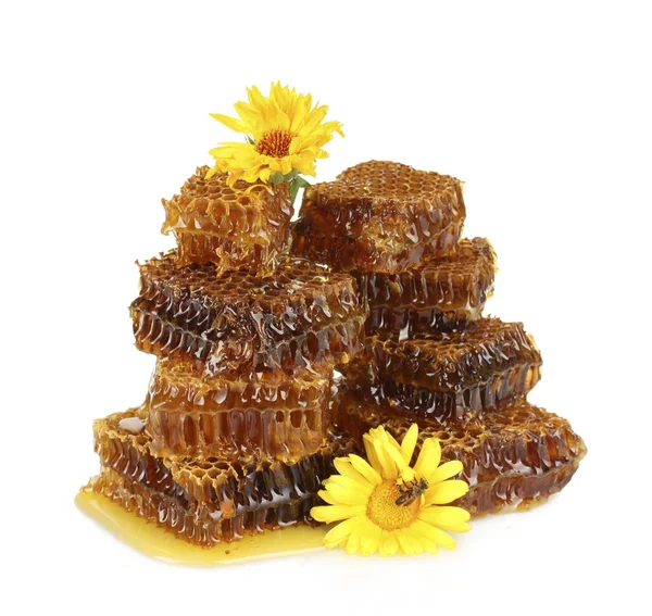 Süße Wabe mit Honig, Biene auf Blüten, isoliert auf Weiß — Stockfoto