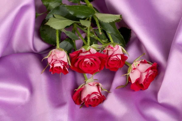 Wunderschöne weinig Rosen auf lila Satin Nahaufnahme — Stockfoto