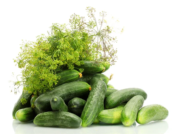 Verse komkommers en dille geïsoleerd op wit — Stockfoto