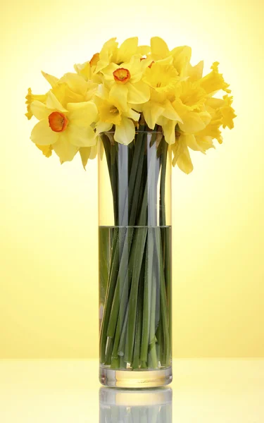 Belos narcisos amarelos em vaso transparente no fundo amarelo — Fotografia de Stock