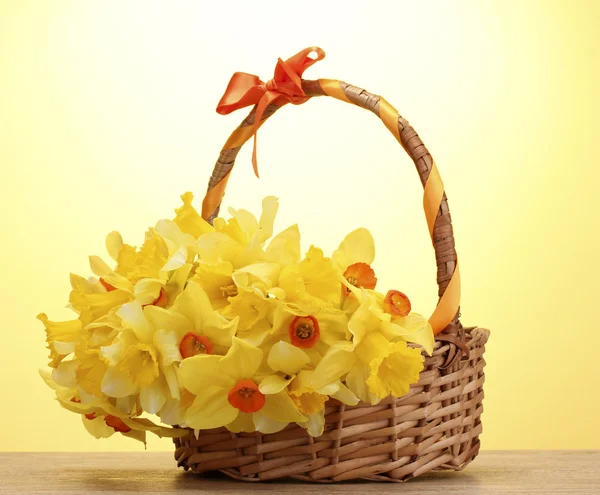 Beautiful yellow daffodils in basket with bow on wooden table on yellow background — Stock Photo, Image