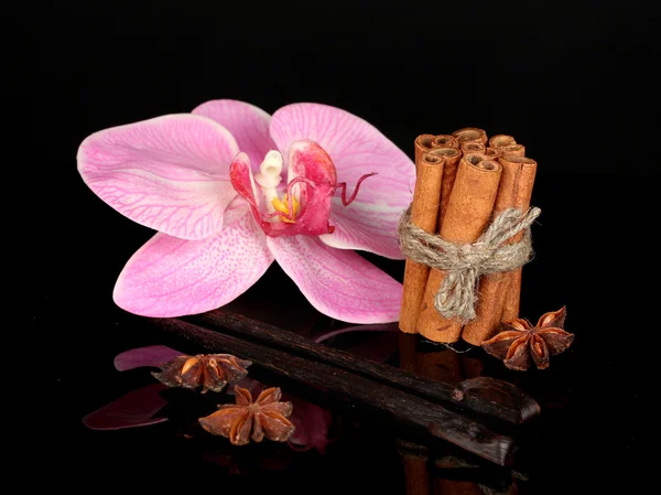 Siyah üzerine izole baharatlar ile vanilya pods — Stok fotoğraf