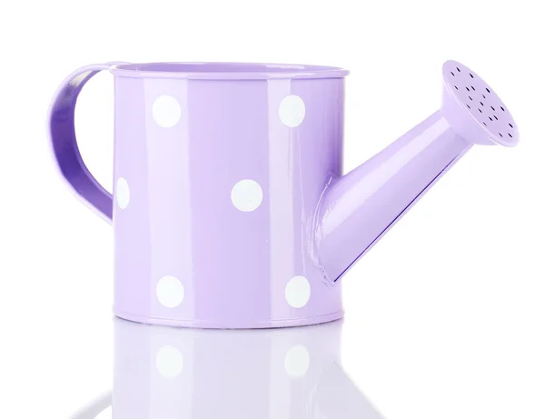 Arrosoir violet avec pois blanc isolé sur blanc — Photo