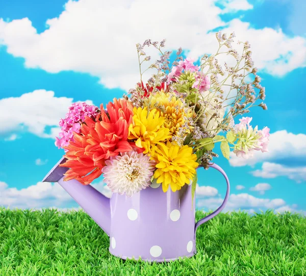 Фиолетовая банка полива с белой горошек с цветами на фоне неба — стоковое фото