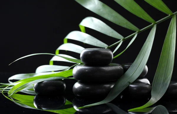 Wellness-Steine und grünes Palmblatt auf schwarzem Hintergrund — Stockfoto