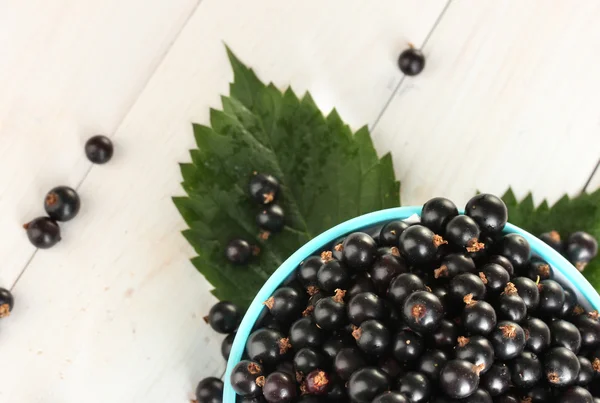 stock image Fresh black currant in colorful bowl on white wooden background close-up