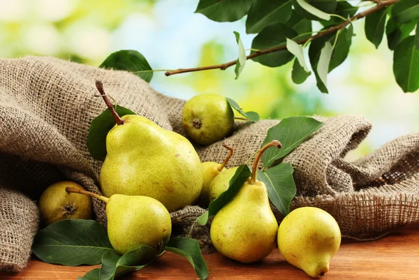 Juicy flavorful pears of nature background — Stock Photo, Image