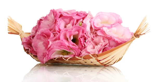 Ramo de flores de eustoma en cesta, aislado en blanco —  Fotos de Stock