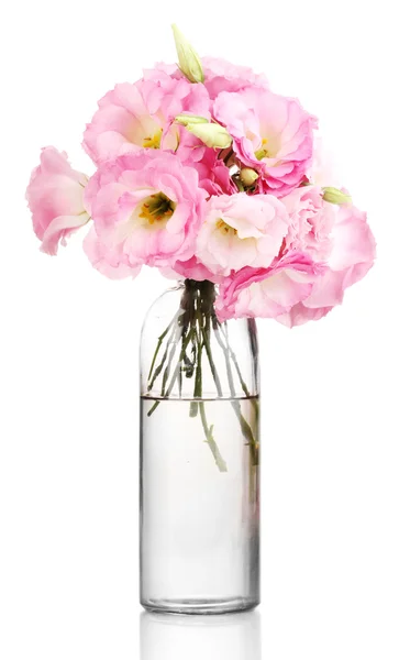 Bouquet of eustoma flowers in bottle, isolated on white — Stock Photo, Image