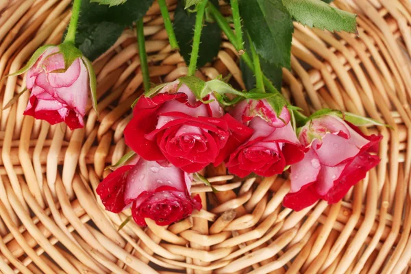 Hermosas rosas vinosas en primer plano estera de mimbre — Foto de Stock