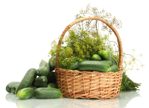 Fresh cucumbers and dill in basket isolated on white — Stock Photo, Image