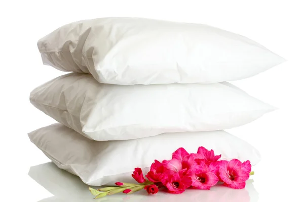 Подушки и цветы, изолированные на белом — стоковое фото