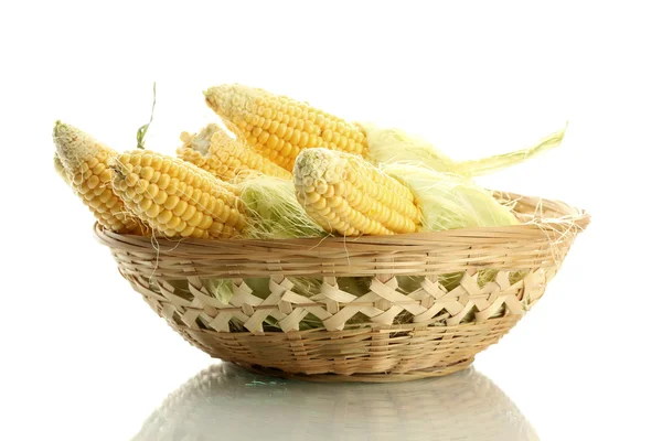Frischer Mais im Korb, isoliert auf weiß — Stockfoto