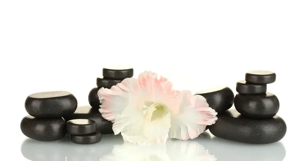 Wellness-Steine mit Gladiolenknospe isoliert auf weiß — Stockfoto