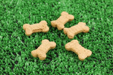 Dry bone-shaped food for dogs on green grass clipart