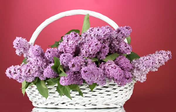 Hermosas flores lila en cesta sobre fondo rojo — Foto de Stock