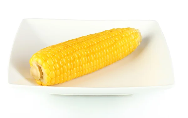 Вареная кукуруза изолирована на серой на белой тарелке — стоковое фото