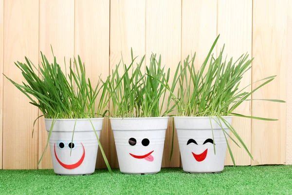 A pots of grass on wooden background — Stock Photo, Image