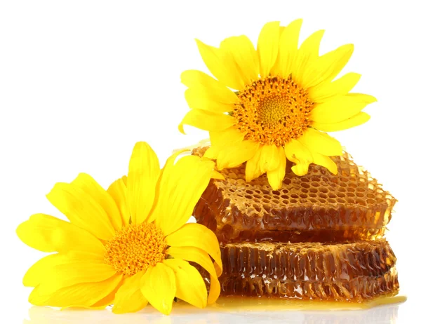 甜蜂窝与蜂蜜、 木制 drizzler 和向日葵，孤立在白色 — 图库照片