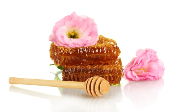 Favos de mel com mel e flores isoladas em branco — Fotografia de Stock