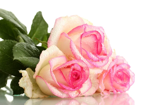 美丽的粉红色玫瑰束，白色隔离 — 图库照片