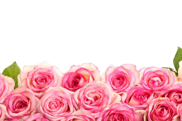 Beau bouquet de roses isolées sur blanc — Photo