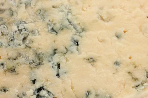 Cheese with mold close-up — Stock Photo, Image