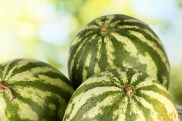 Ripe watermelon on green background close-up — Stock Photo, Image