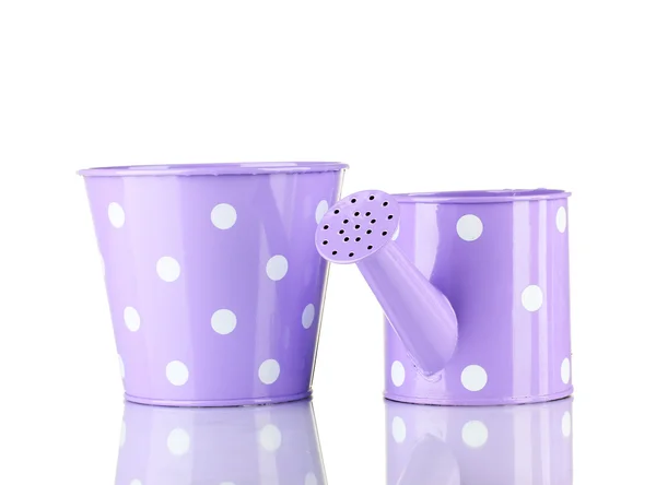 Purple watering can and bucket with white polka-dot isolated on white — Stock Photo, Image