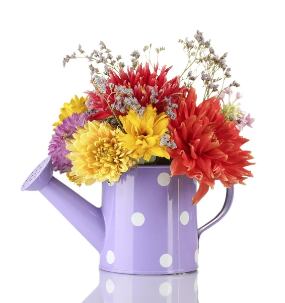 Purple watering can with white polka-dot with flowers isolated on white — Stock Photo, Image