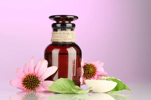 Medicine bottle with purple echinacea, on pink background — Stock Photo, Image