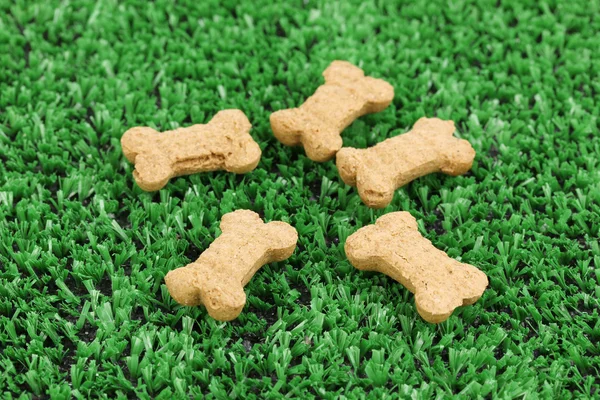 Ξηρά οστά σχήμα τροφή για σκύλους για την πράσινη χλόη — Φωτογραφία Αρχείου