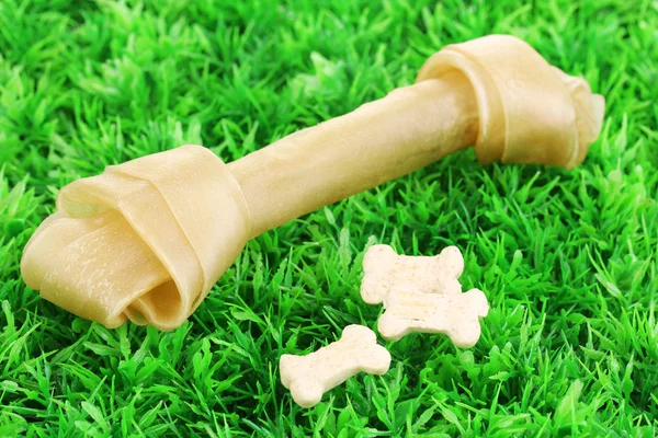 緑の草原犬の骨 — ストック写真