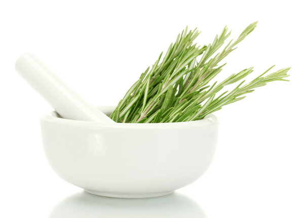 Mortar with fresh green rosemary isolated on white