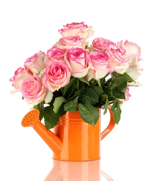 Mooi boeket van roze rozen in gieter, geïsoleerd op wit — Stockfoto