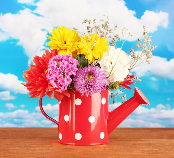 Red watering can with white polka-dot with flowers on sky background — Stock Photo, Image