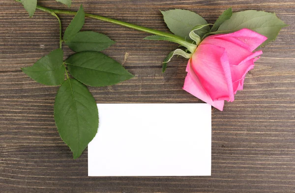 Schöne Rose auf Holzgrund — Stockfoto