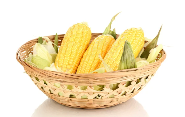 Čerstvé kukuřičné klásky v košíku izolovaných na bílém — Stock fotografie
