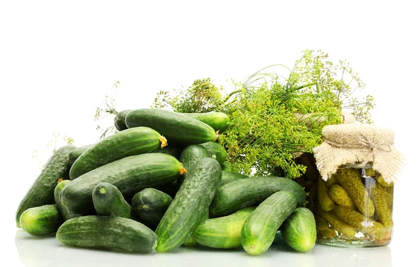 Fresh cucumbers, pickles and dill isolated on white — Stock Photo, Image