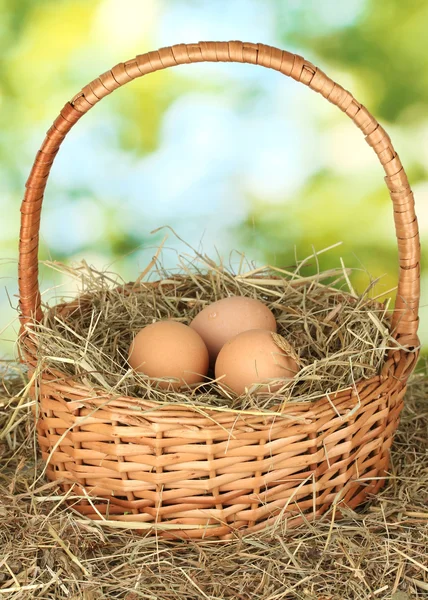 Huevos marrones en una canasta de mimbre sobre heno sobre fondo verde —  Fotos de Stock