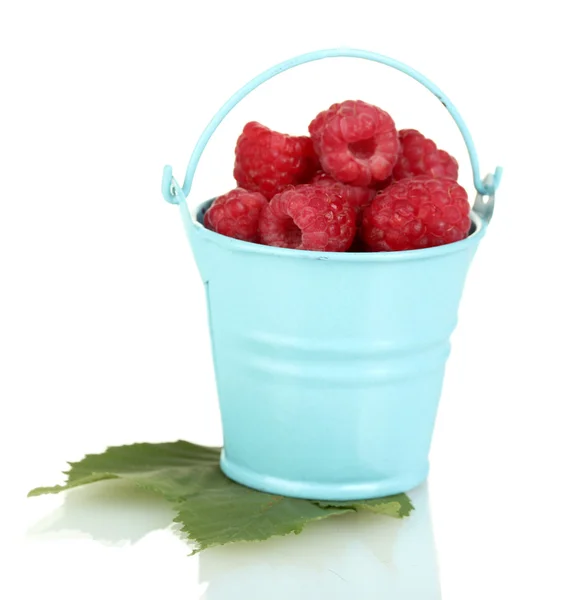 Fresh raspberries in blue bucket isolated on white — Stock Photo, Image
