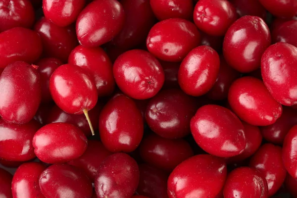 Fresh cornel berries close-up — Stock Photo, Image
